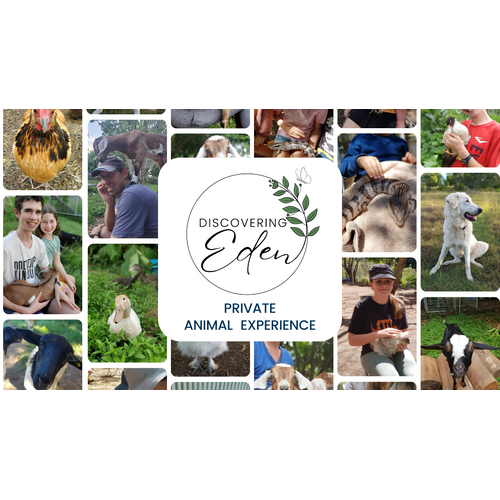 1 hour Discovering Eden Private Animal Experience - $110